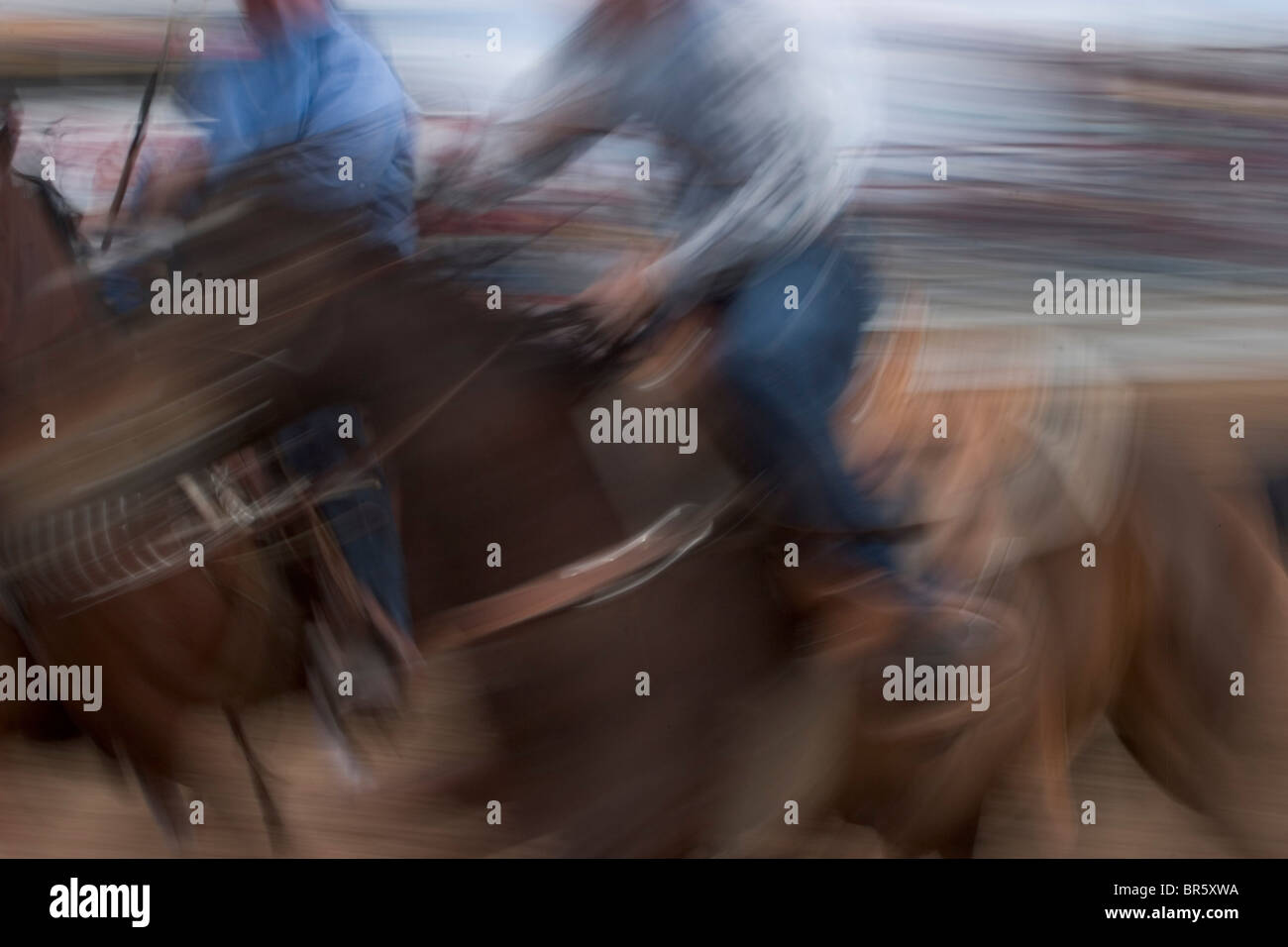 Close-up di cowboy e i loro cavalli in azione Foto Stock