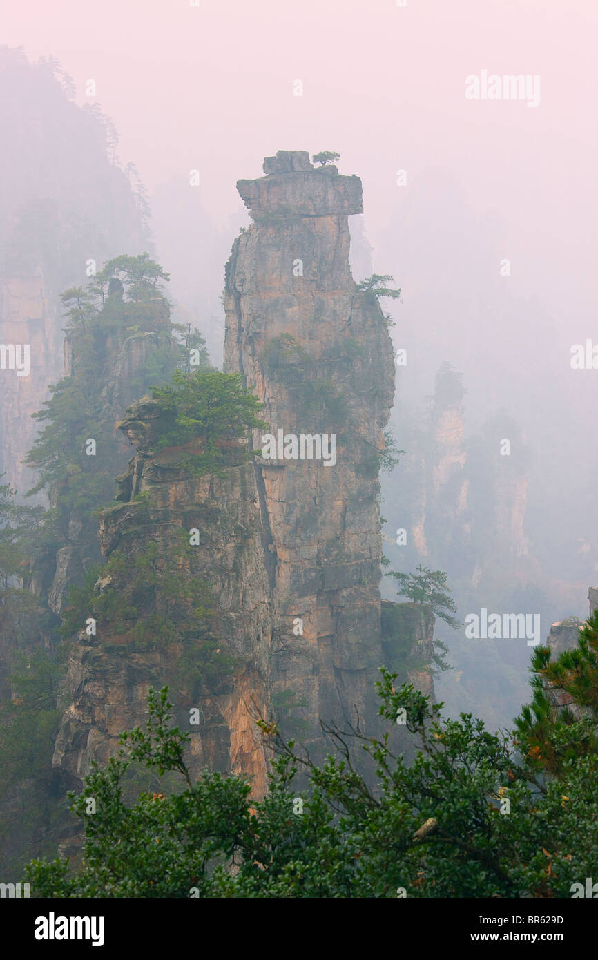 Picchi di arenaria di Mt Tianzi (figlio del cielo della montagna), Wulingyuan Scenic Area, nella provincia del Hunan, Cina Foto Stock