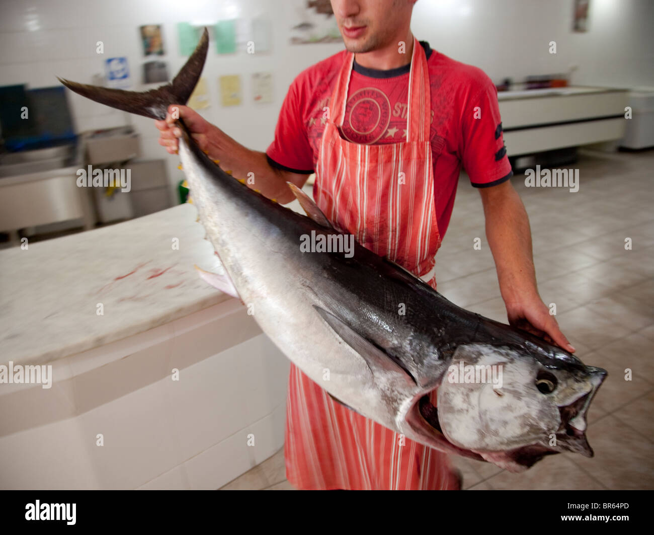 Un lavoratore tenendo fuori un tonno dalla cella frigorifera ad un pescivendolo shop in Malta. Foto Stock