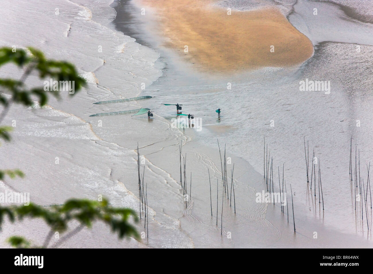 Fisherman e canne di bambù per essiccare le alghe sulla spiaggia a est dal Mar Cinese Orientale, Xiapu, Fujian, Cina Foto Stock