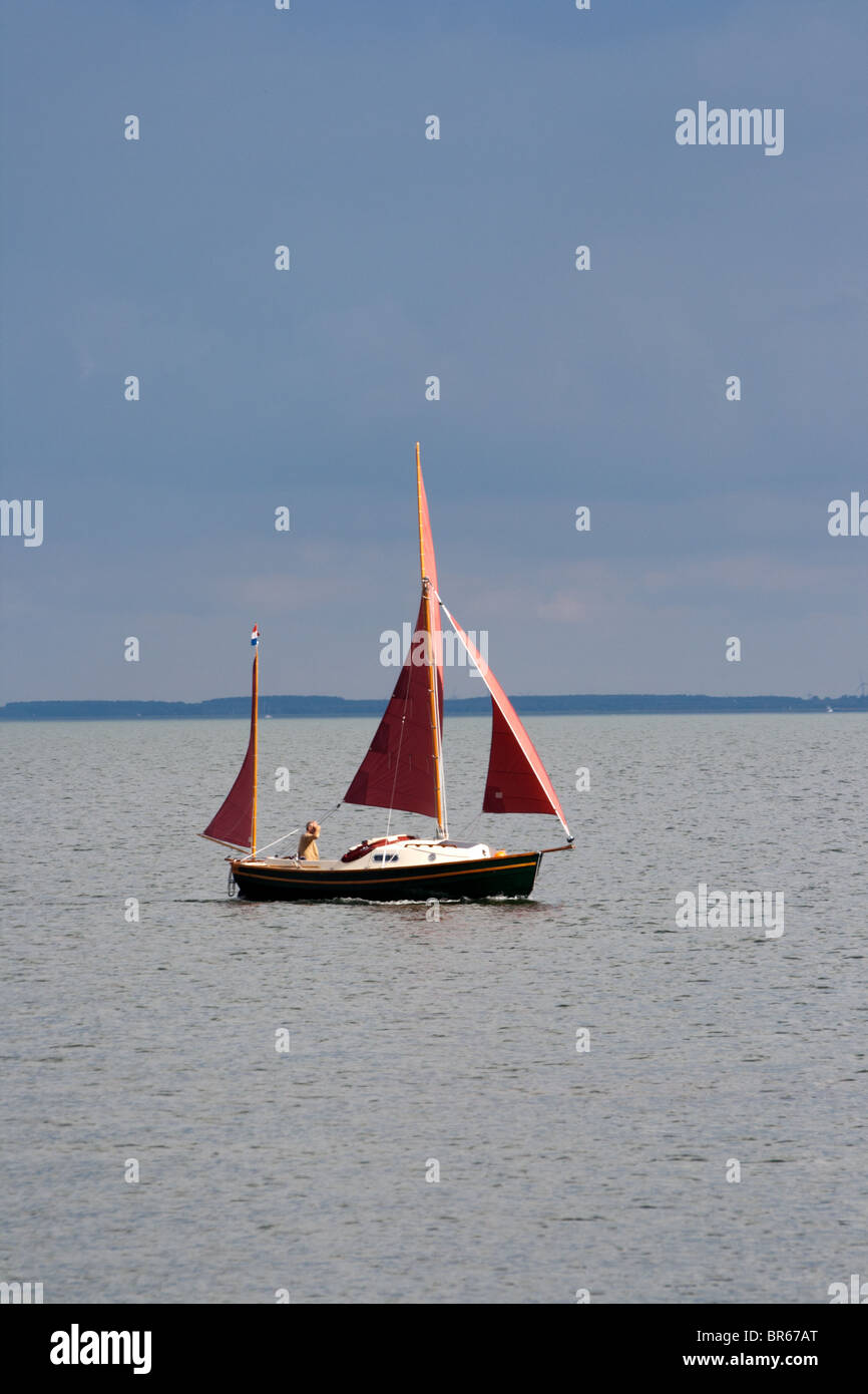 Piccole barche a vela sul lago IJsselmeer, Paesi Bassi Foto Stock