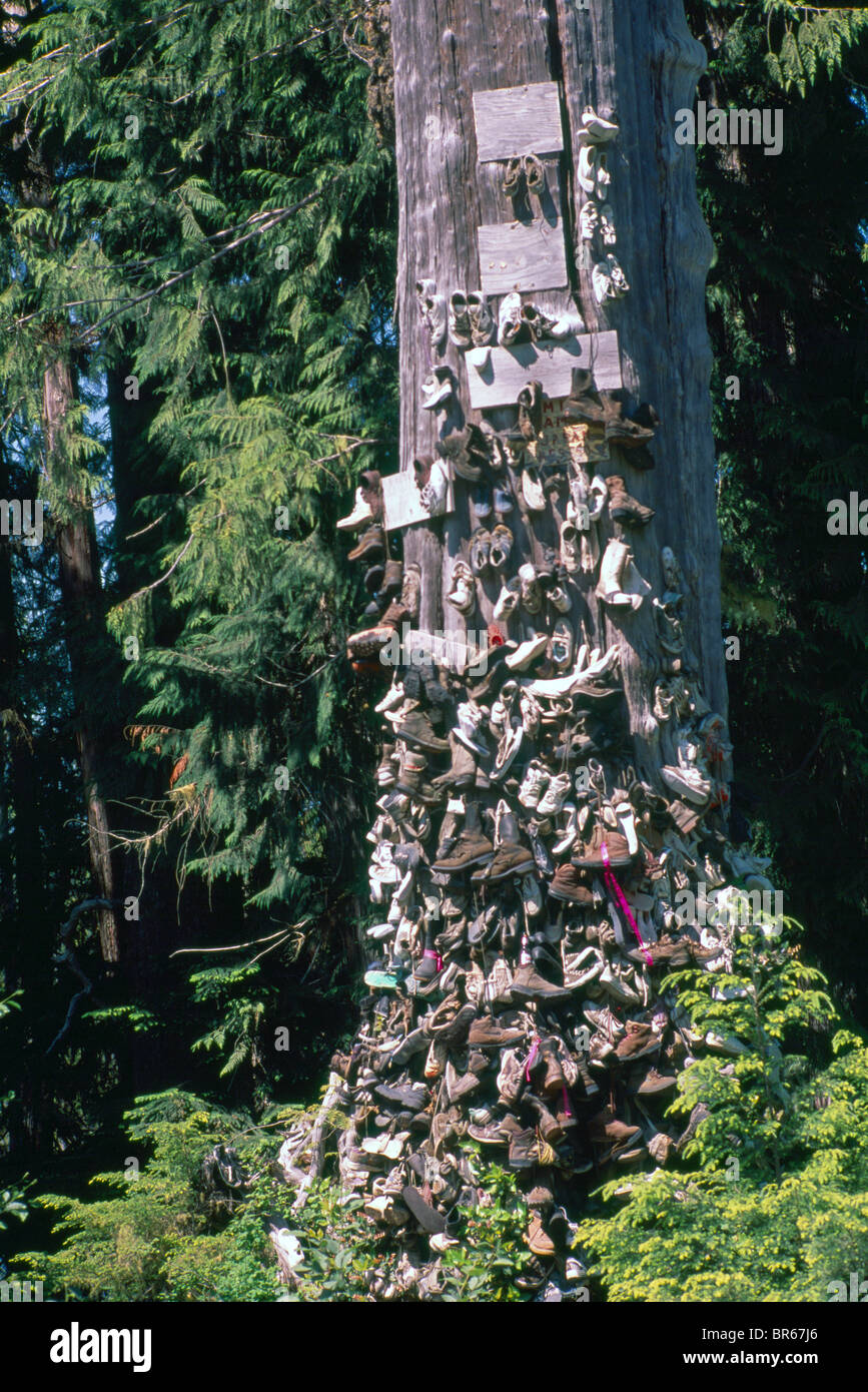 Scartare le scarpe chiodate alla struttura di pattino dopo escursioni in Cape Scott Provincial Park, l'isola di Vancouver, BC, British Columbia, Canada Foto Stock