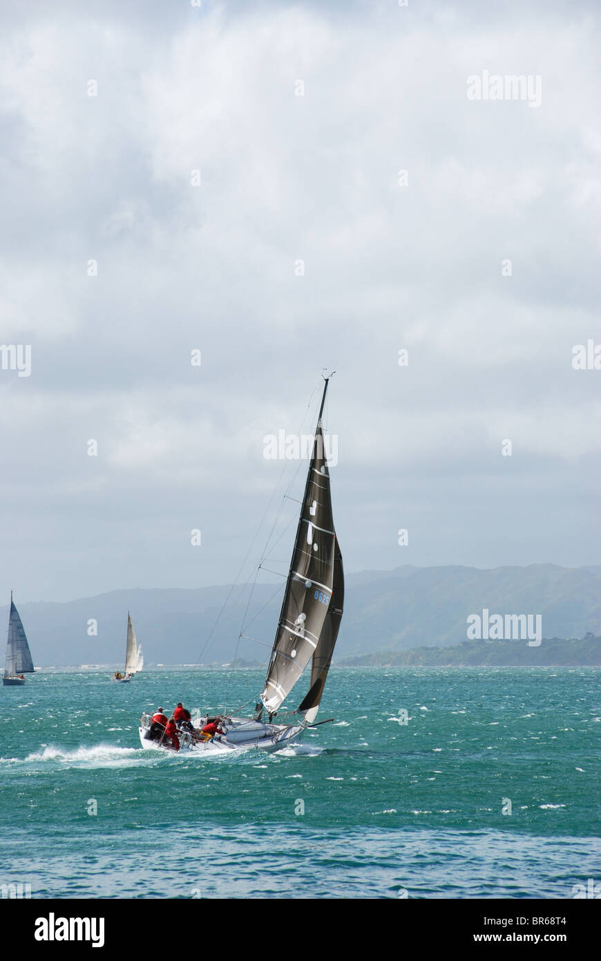 Gli equipaggi vela in venti alti sul porto di Wellington, il Wellington waterfront / Harbour, Nuova Zelanda Foto Stock