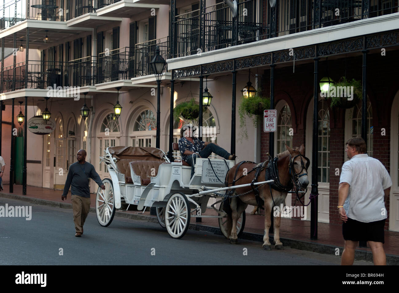 Carro trainato da cavalli nel quartiere francese, Bourbon Street, New Orleans, Louisiana, Stati Uniti d'America. Foto Stock