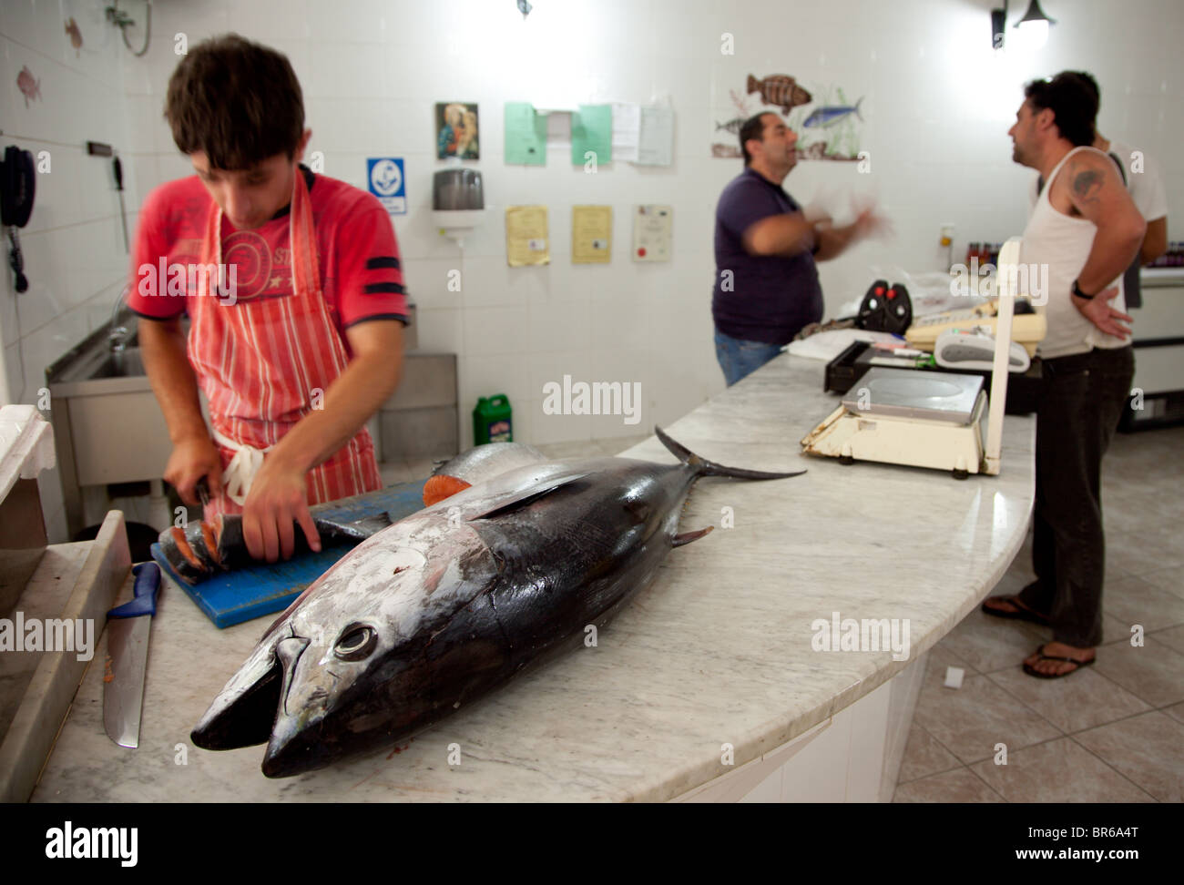 Un intero giovani tonni sul contatore ad un pesce monger in Malta. Foto Stock