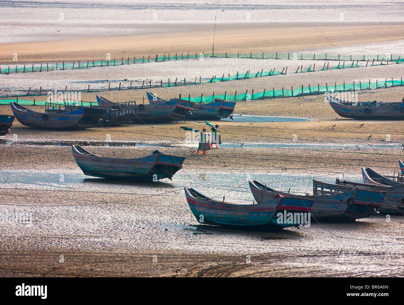 Barche da pesca e canne di bambù per essiccare le alghe sulla spiaggia a est dal Mar Cinese Orientale, Xiapu, Fujian, Cina Foto Stock