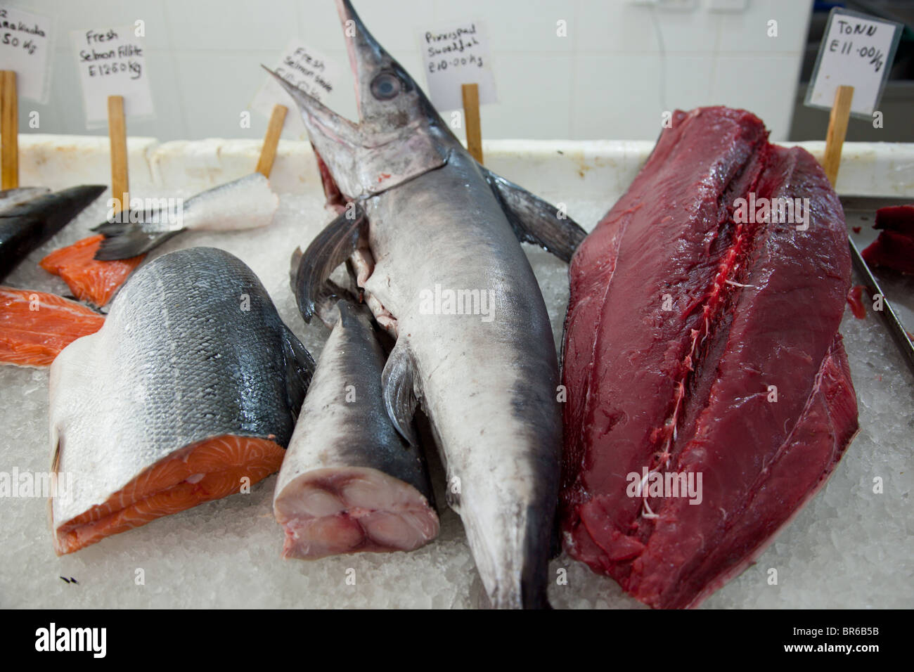 Un assortimento di pesci posti su ghiaccio in un pescivendolo in Malta. Foto Stock
