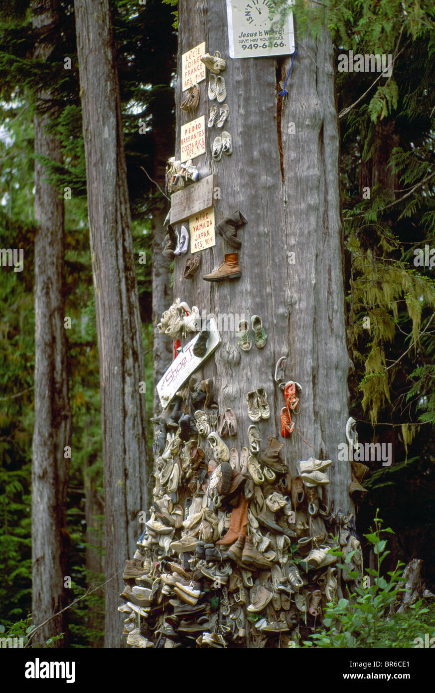 Scartare le scarpe chiodate alla struttura di pattino dopo escursioni in Cape Scott Provincial Park, l'isola di Vancouver, BC, British Columbia, Canada Foto Stock