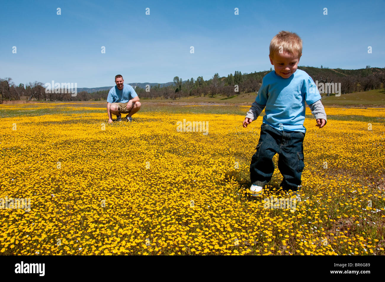 In California Viaggi di fiori selvaggi: Famiglia nel goldfields fiori selvatici in San Antonio valle a sud di Livermore foto (c) Lee Foster Foto Stock
