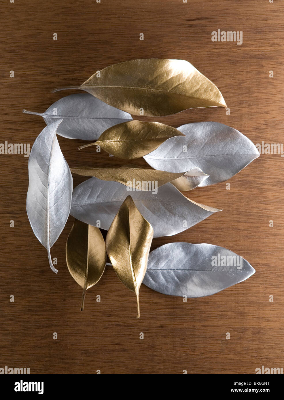 Varietà di argento e oro lascia Foto Stock