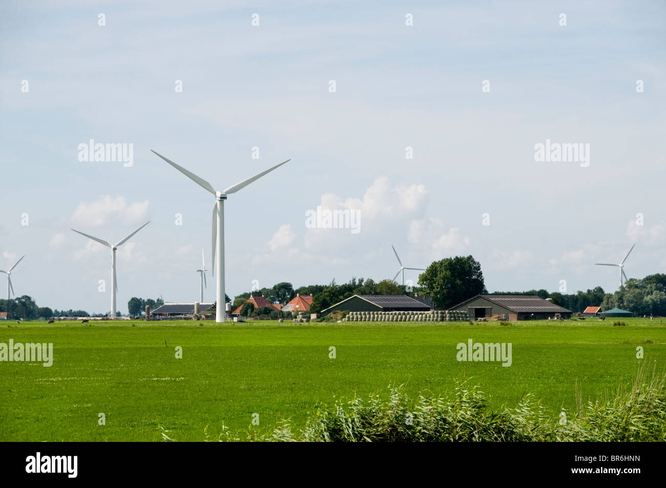 Agriturismo Frisia Paesi Bassi Mulino a Vento mulini a vento Foto Stock
