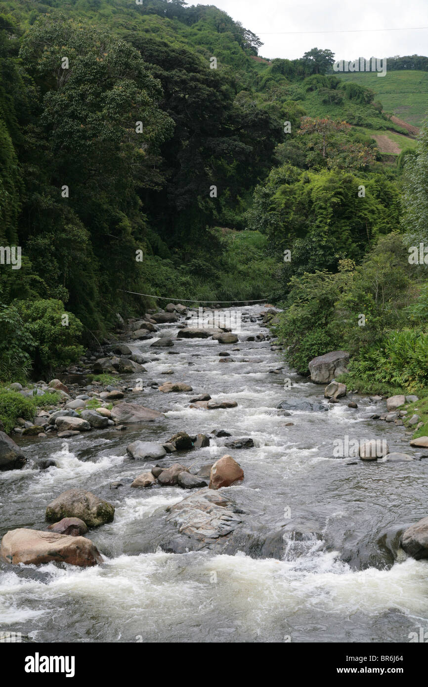 Chiriqui provincia, regione Bambito, Repubblica di Panama. Foto Stock