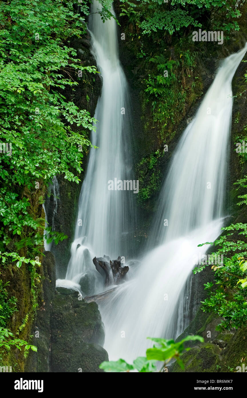 Stockghyll forza cascate cascata in estate vicino Ambleside Cumbria Lake District National Park Inghilterra Regno Unito GB Gran Bretagna Foto Stock