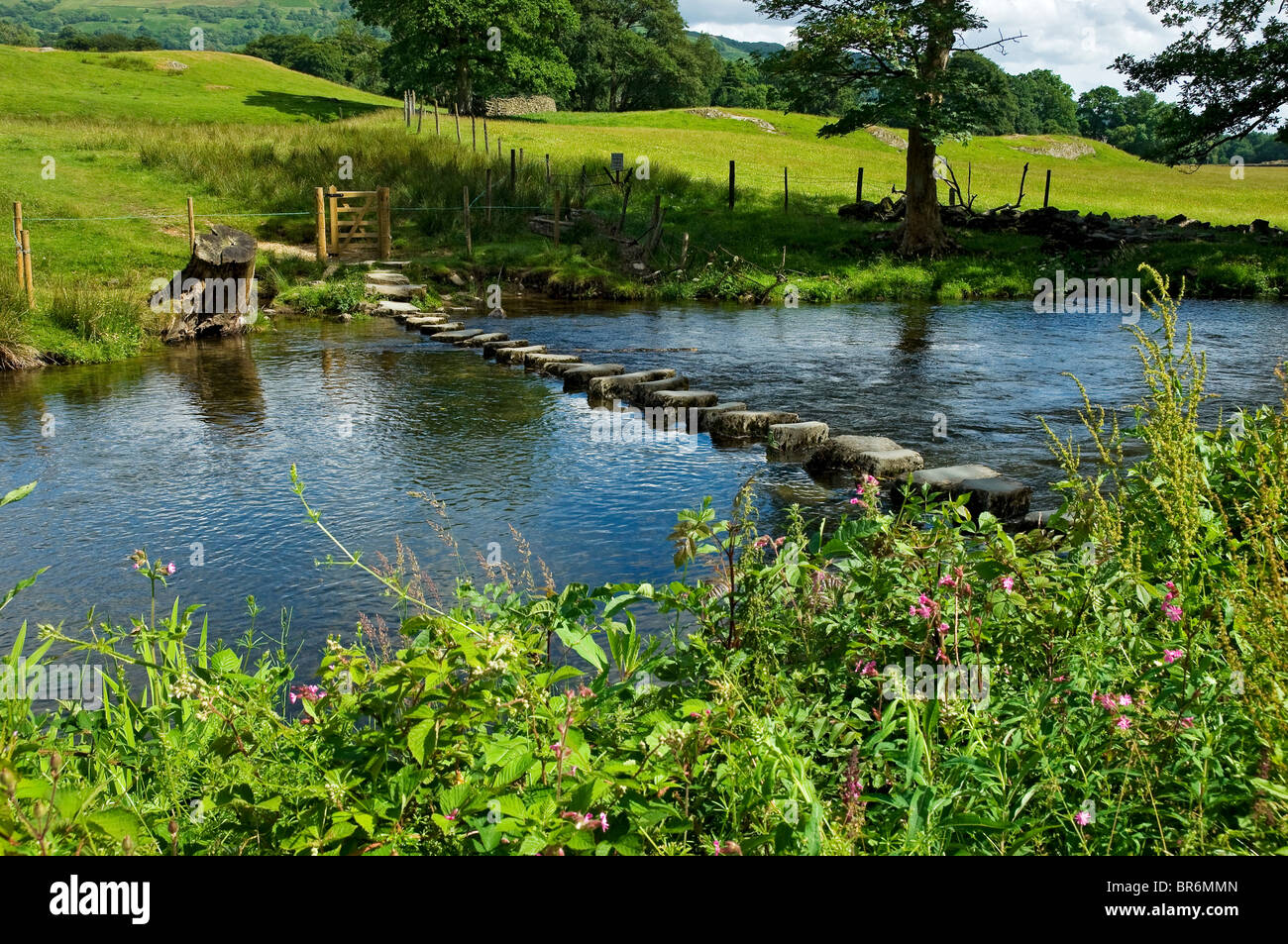 Pietre che attraversano il fiume Rothay in estate vicino Ambleside Cumbria Lake District National Park Inghilterra Regno Unito GB Gran Bretagna Foto Stock