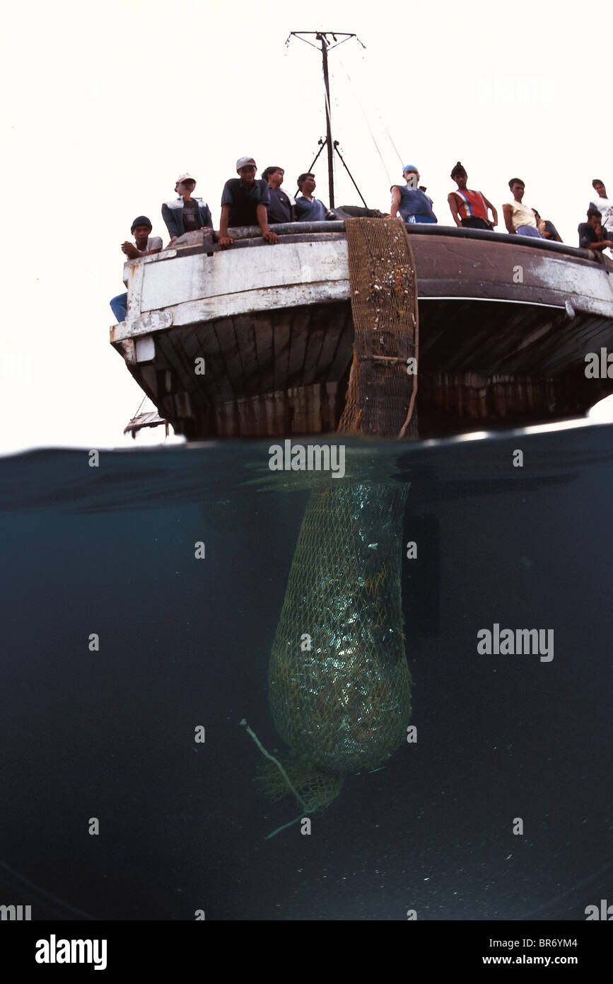 Trawler imbarcazione alaggio in reti con pesce pescato. Mari Sulu-Sulawesi, Indo-pacifico Foto Stock