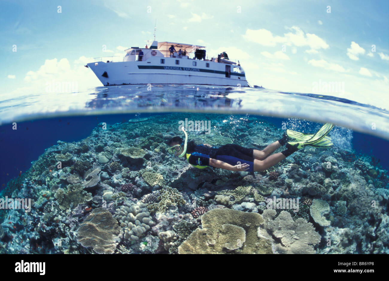 A livello diviso di snorkeller e barca presso la Grande Barriera Corallina, Coral Sea, Australia Foto Stock