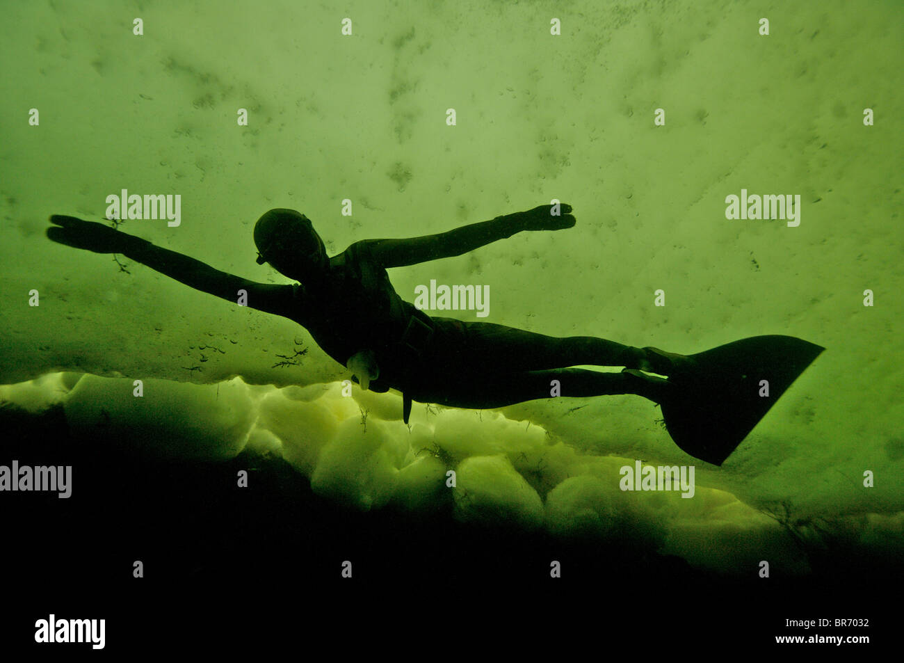 Julia Petrik free-diving (senza aria di alimentazione) sotto il ghiaccio nel Mare Bianco, Russia settentrionale Marzo 2008 Foto Stock