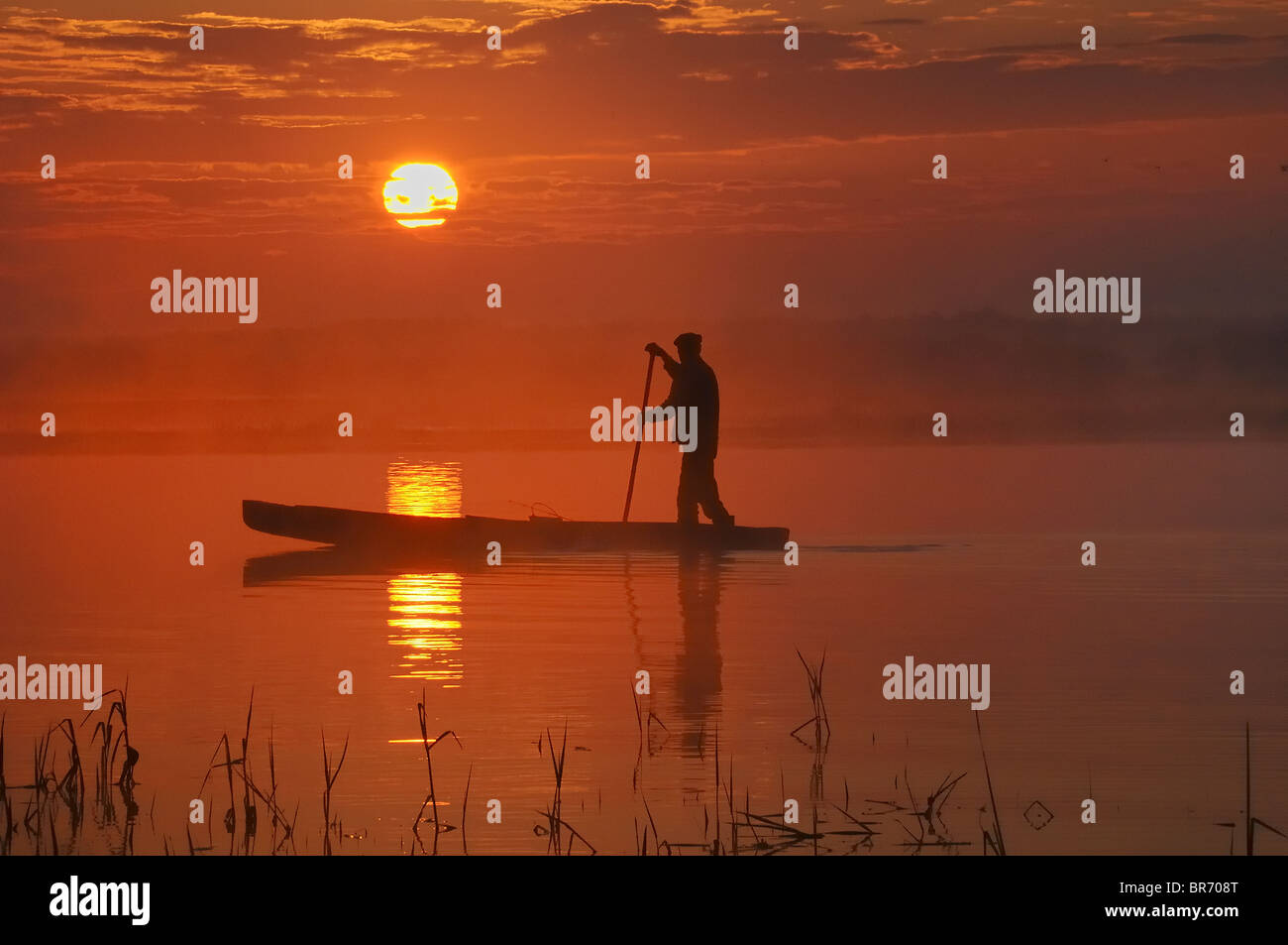 La pesca tradizionale punt di sunrise, Biebrza marsh, Polonia Foto Stock