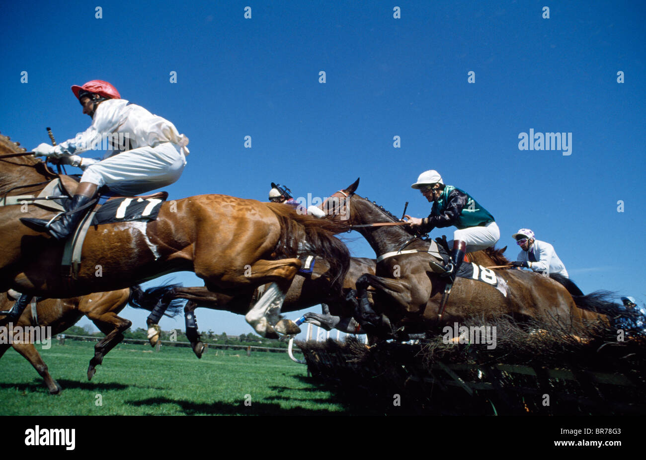 Corse di cavalli, National Hunt Foto Stock