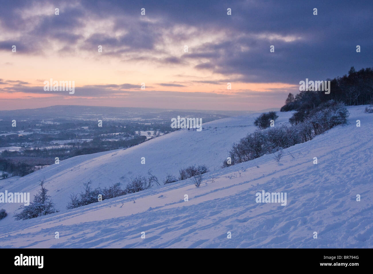 Neve pesante sul Surrey sulle colline vicino a Reigate, Inghilterra Foto Stock