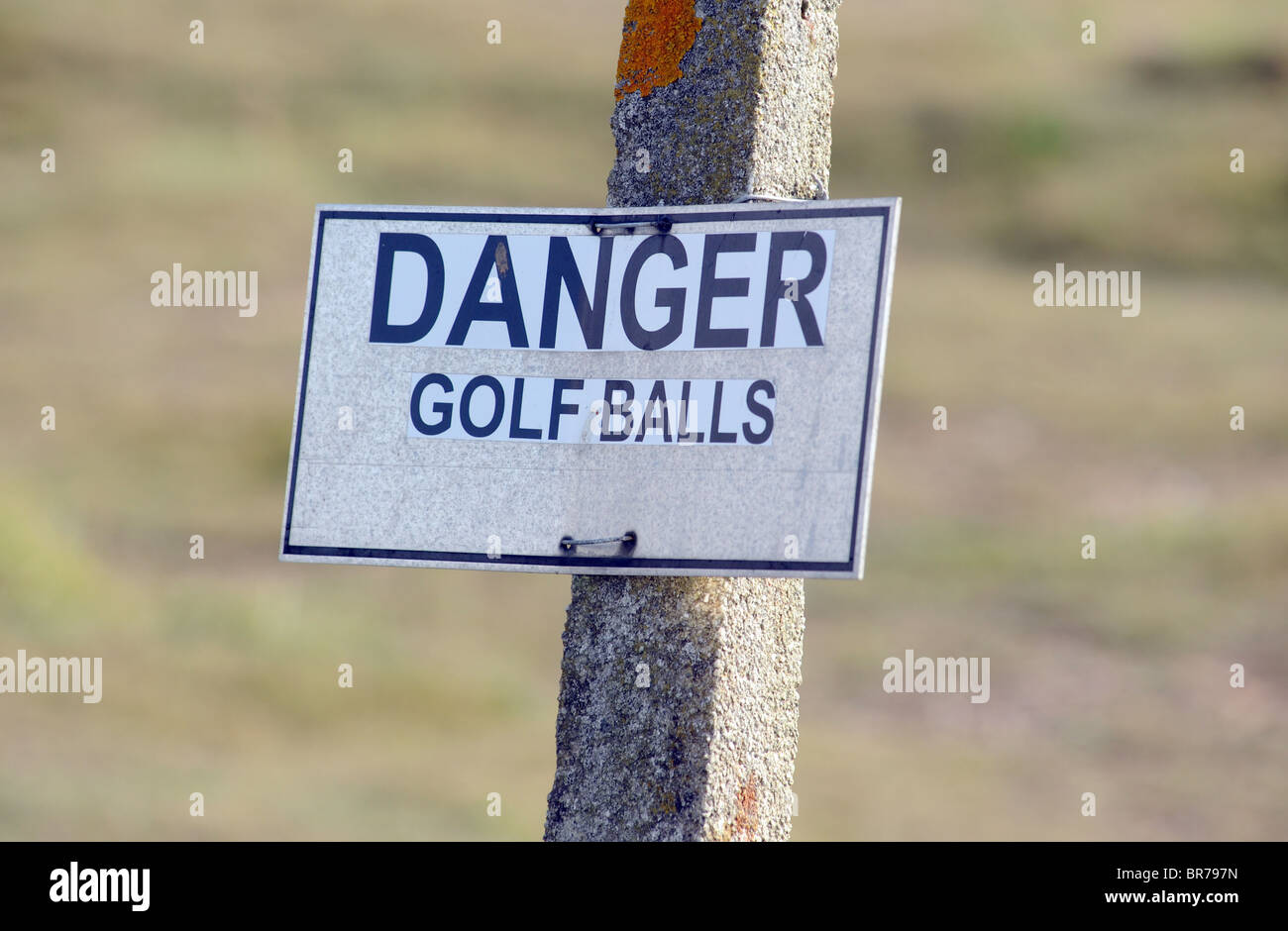 Pericolo palline da golf cartello di avviso su un BRITISH GOLF UK Foto Stock