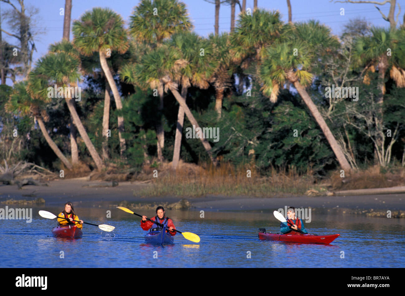 Tre amici in kayak di mare in caccia Island State Park South Carolina. Foto Stock