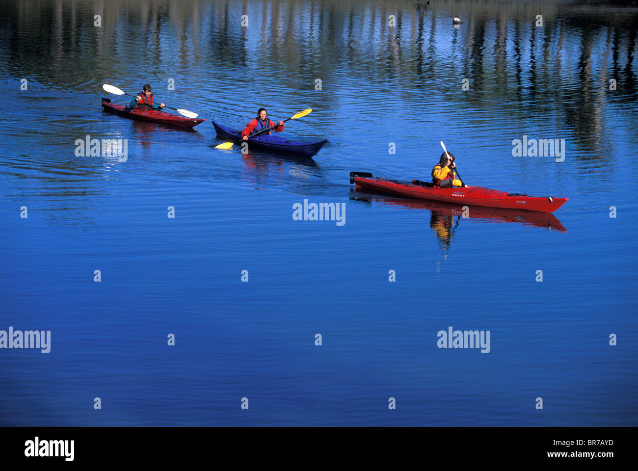 Tre amici in kayak di mare in caccia Island State Park South Carolina. Foto Stock