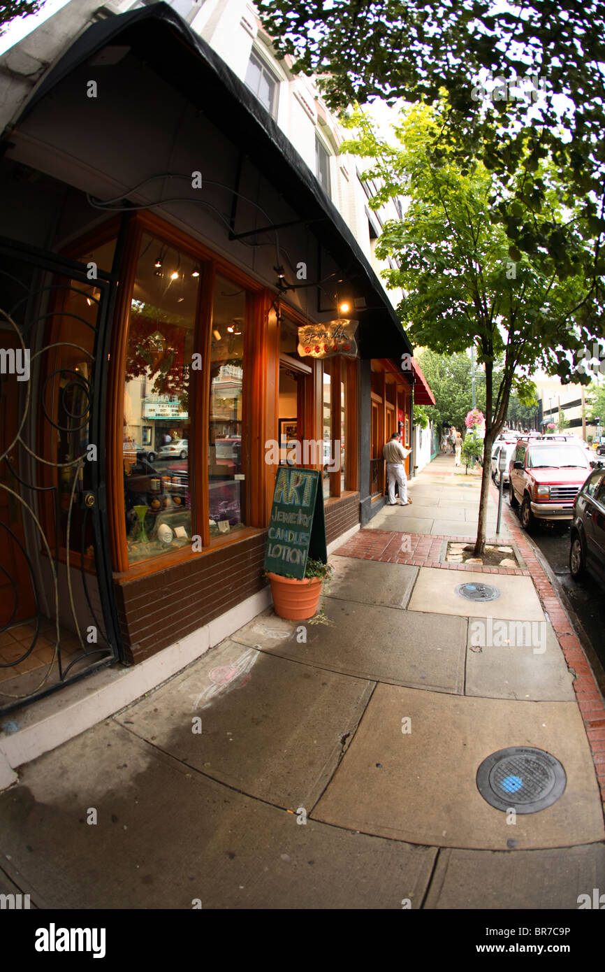 Negozi e turisti lungo il Biltmore Avenue nel centro di Asheville NC Foto Stock