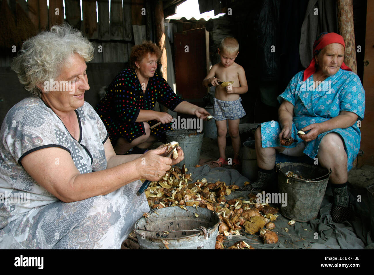 Raccoglitori di funghi al lavoro Foto Stock