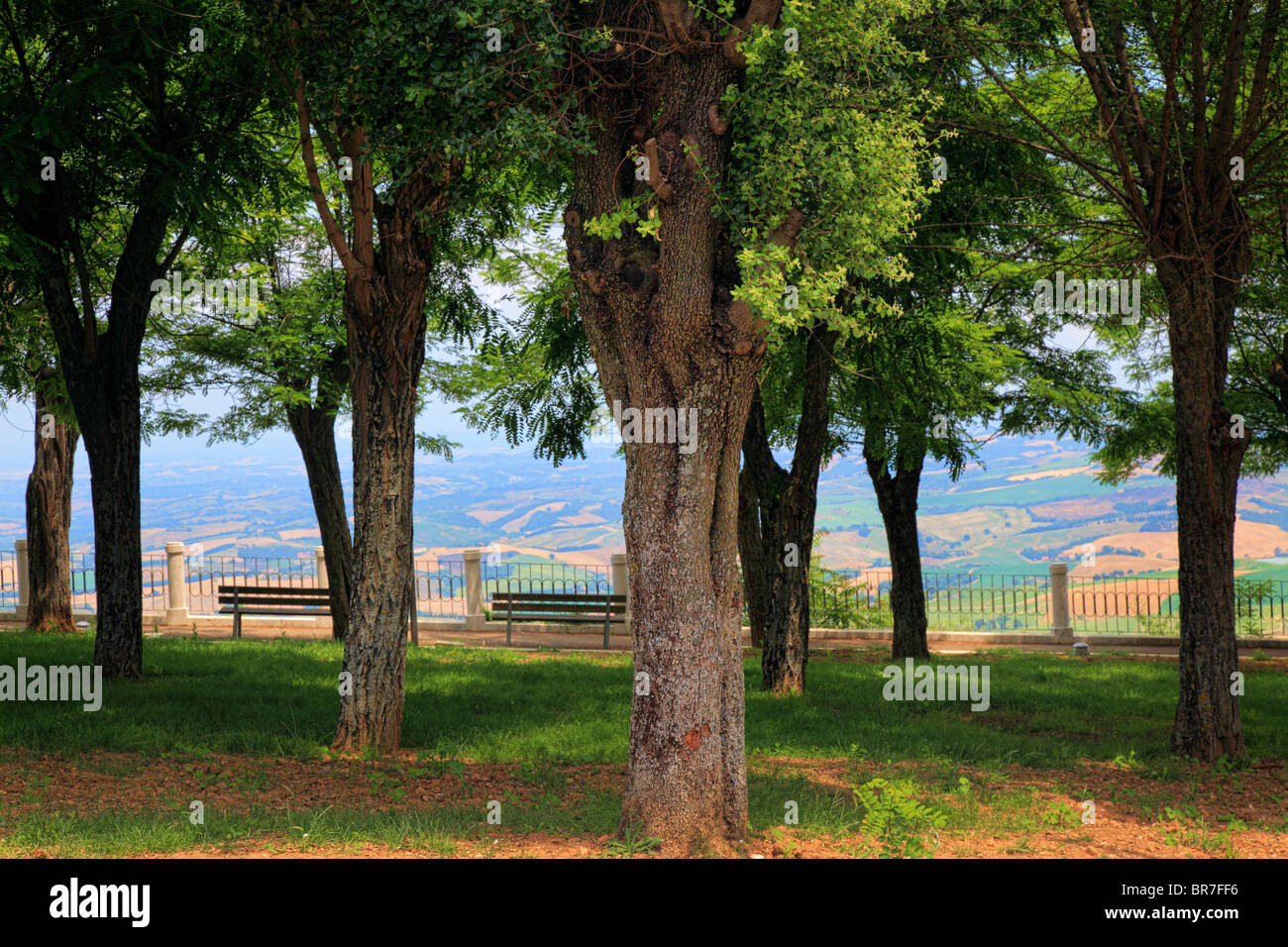 Parco cittadino di paese collinare toscano, Montalcino Foto Stock