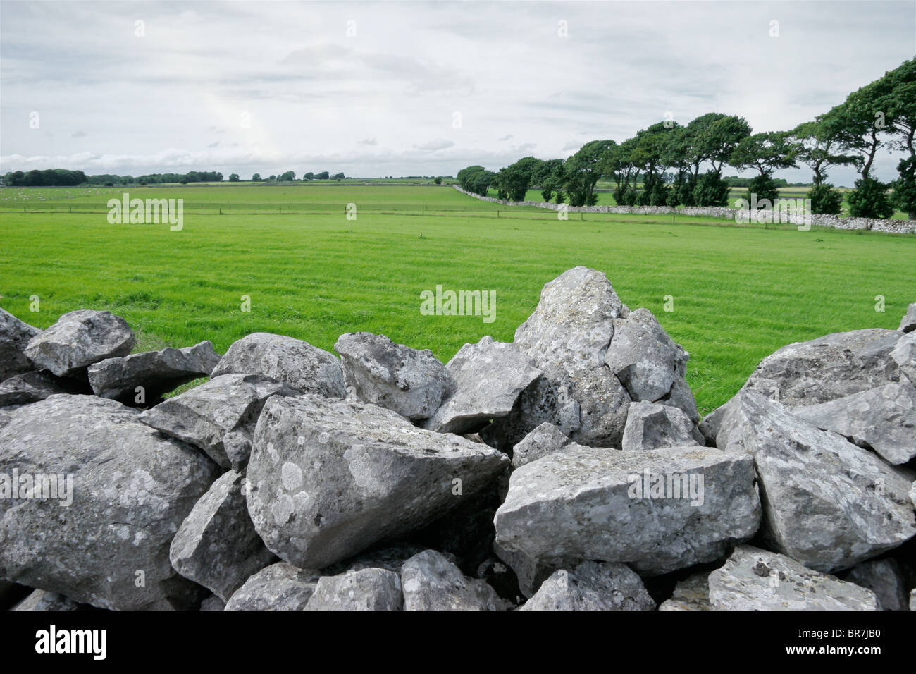 Lussureggianti, verdi pascoli e pareti di pietra dell'Irlanda rurale Foto Stock
