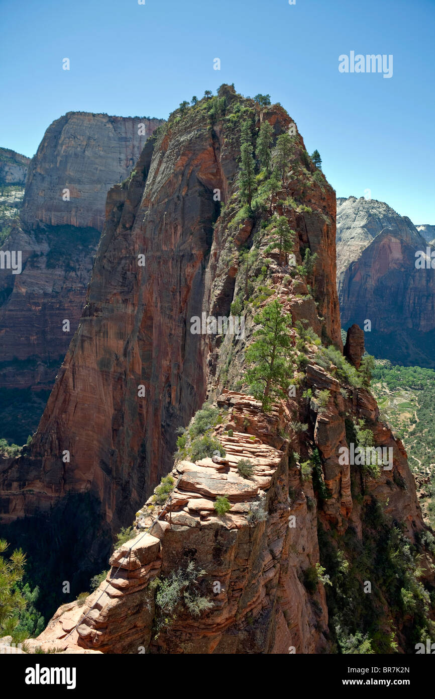 La doppia cliff sentiero fino alla sommità del picco del punto di riferimento nel Parco Nazionale di Zion. Foto Stock