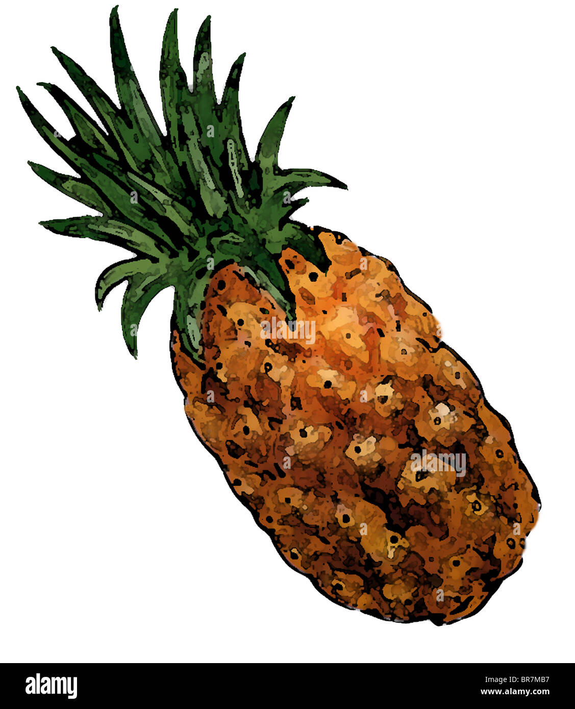 Un disegno di un ananas Foto Stock