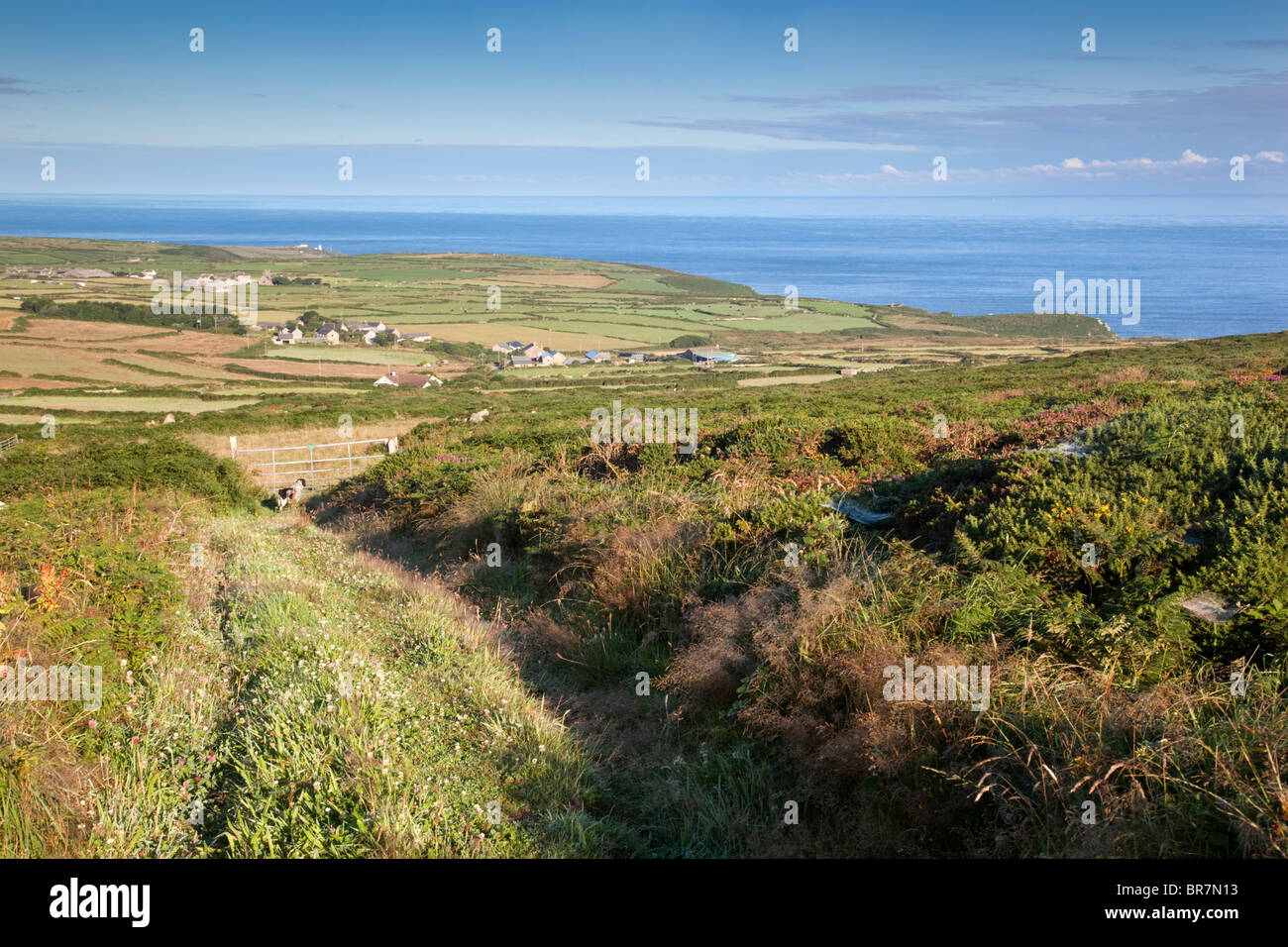 Fattoria Trevean; cercando di costa; vicino Morvah; Cornovaglia Foto Stock