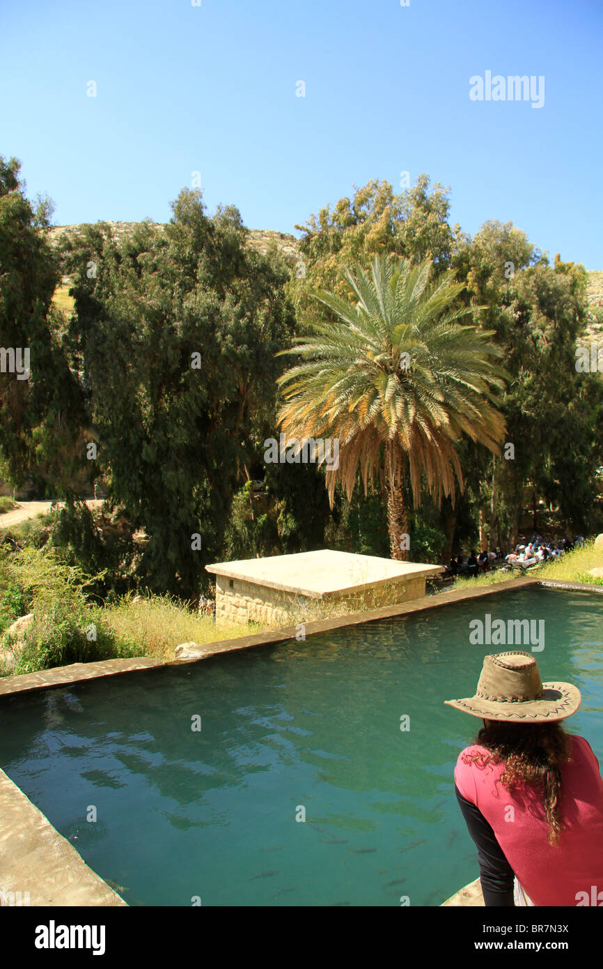 Deserto della Giudea, Ein Prat (Ein Fara) a Wadi Qelt Foto Stock