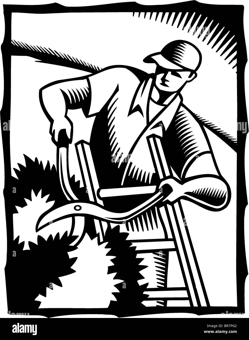 Un bianco e nero illustrazione di un uomo il taglio di siepi Foto Stock