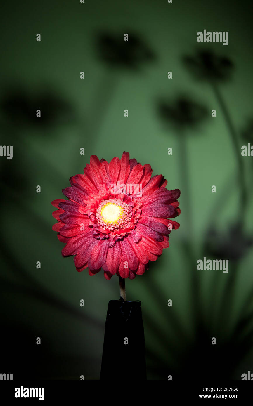 Rosso singolo fiore di imitazione che mostra contro uno sfondo verde con una silhouette di steli dei fiori che mostra. Foto Stock