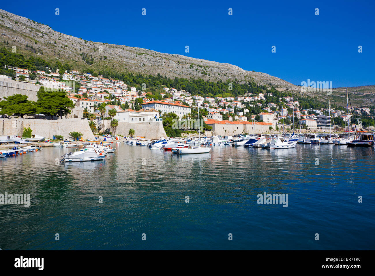 Marina in Dubrovnik, Croazia Foto Stock