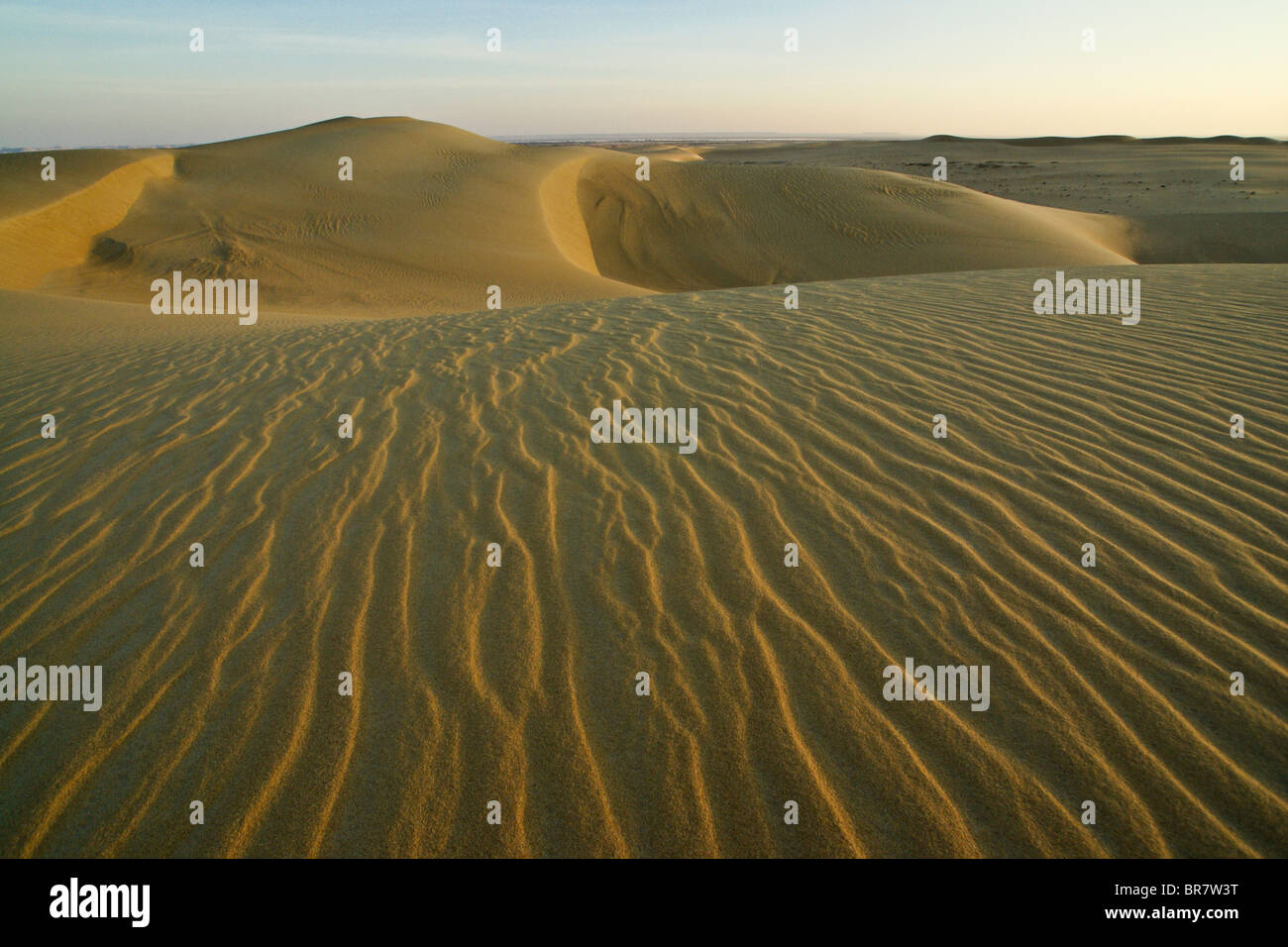 Dune del grande mare di sabbia, Oasi di Siwa, Egitto Foto Stock