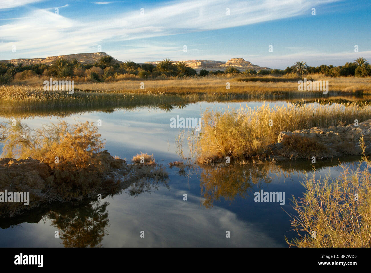 Paesaggio vicino Oasi di Siwa, Egitto Foto Stock