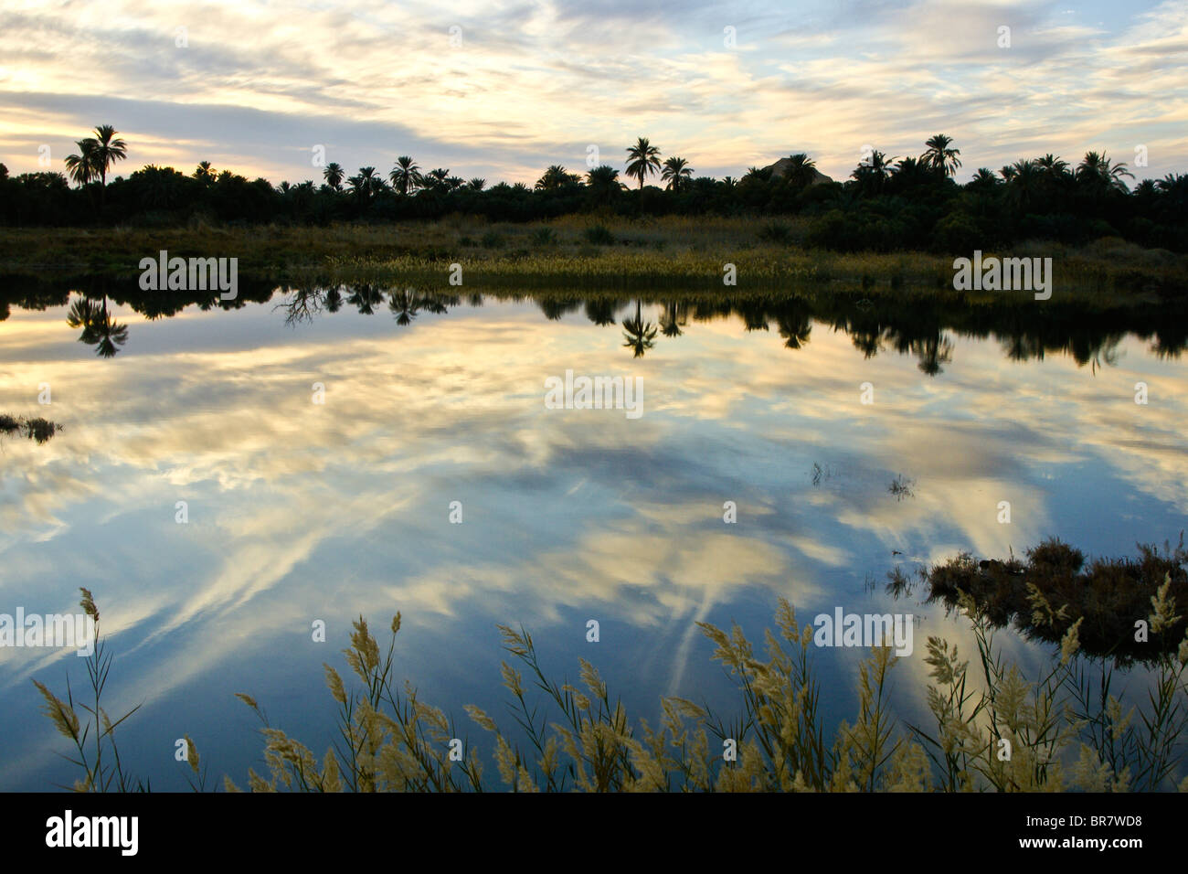 Paesaggio vicino Oasi di Siwa al tramonto, Egitto Foto Stock