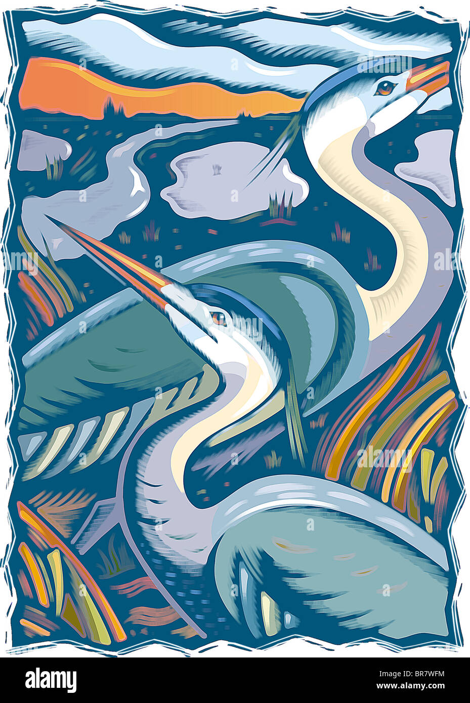 Illustrazione di una coppia di aironi Foto Stock