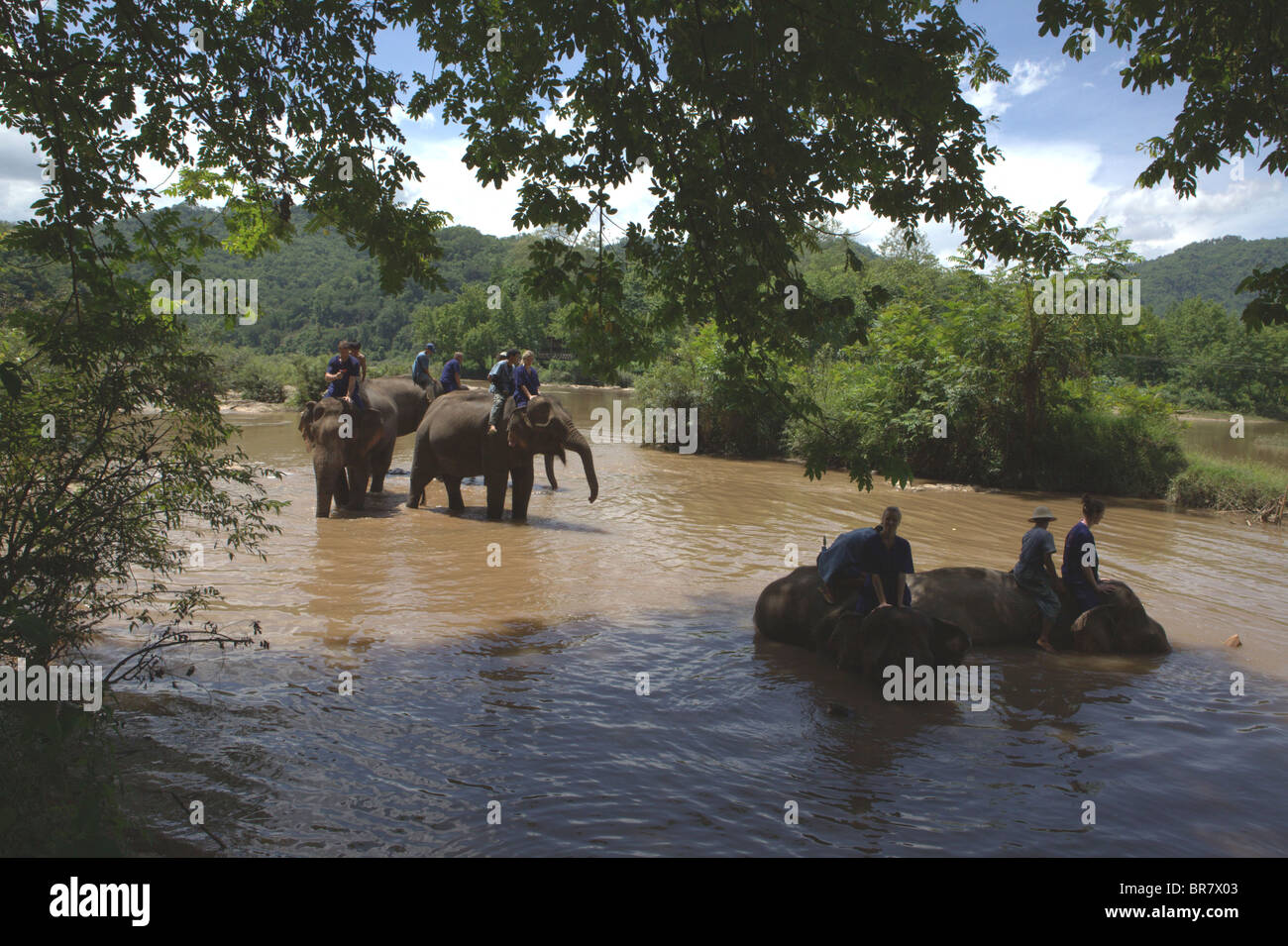 Come Conduttore di Elefanti Corso Laos Foto Stock