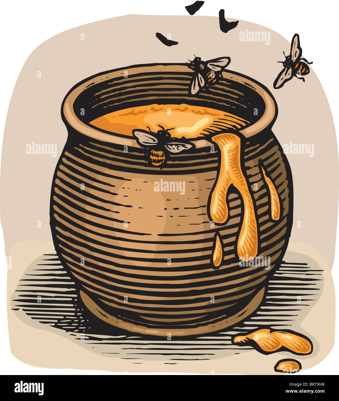 Api in un vasetto di miele Foto Stock