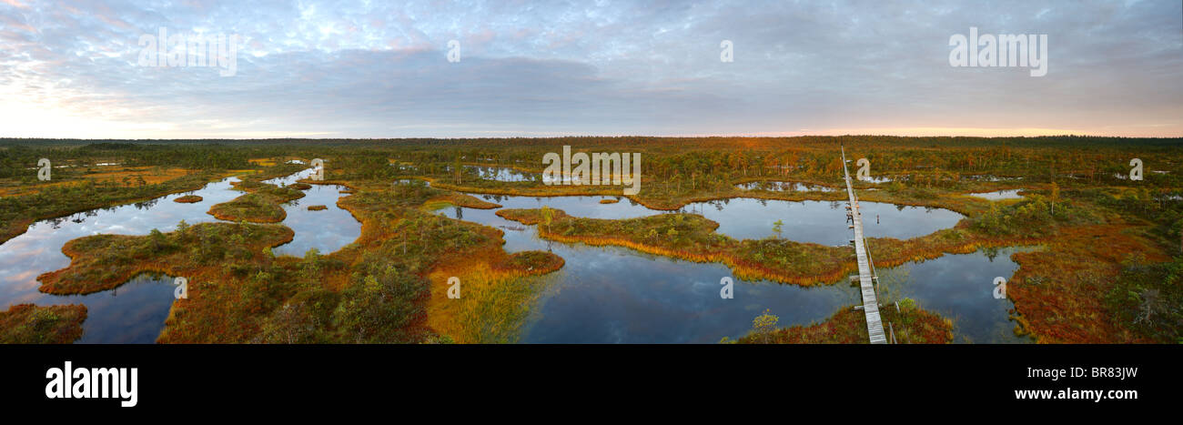 Vista panoramica su Männikjärve Bog, Endla Riserva Naturale, Estonia Foto Stock