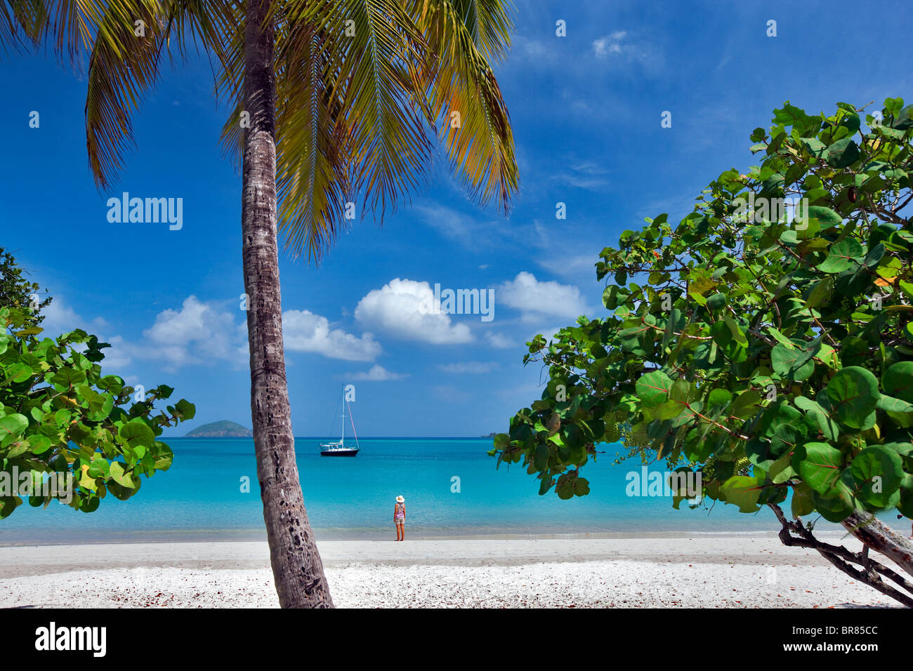 Spiaggia di Megan's Bay con la donna in barca e Palm tree. San Tommaso. Isole Vergini americane. Foto Stock