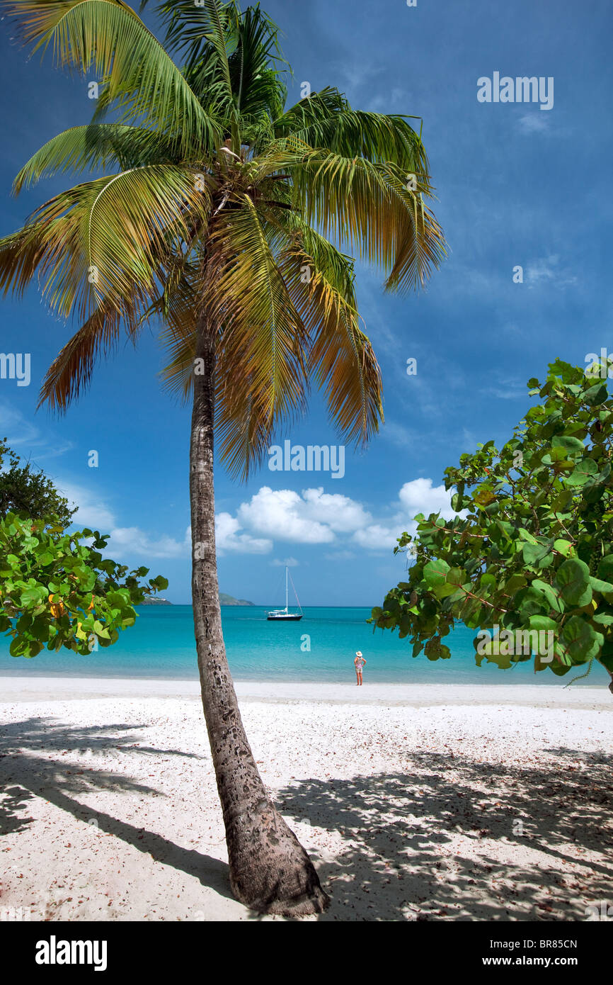 Spiaggia di Megan's Bay con la donna in barca e Palm tree. San Tommaso. Isole Vergini americane. Foto Stock