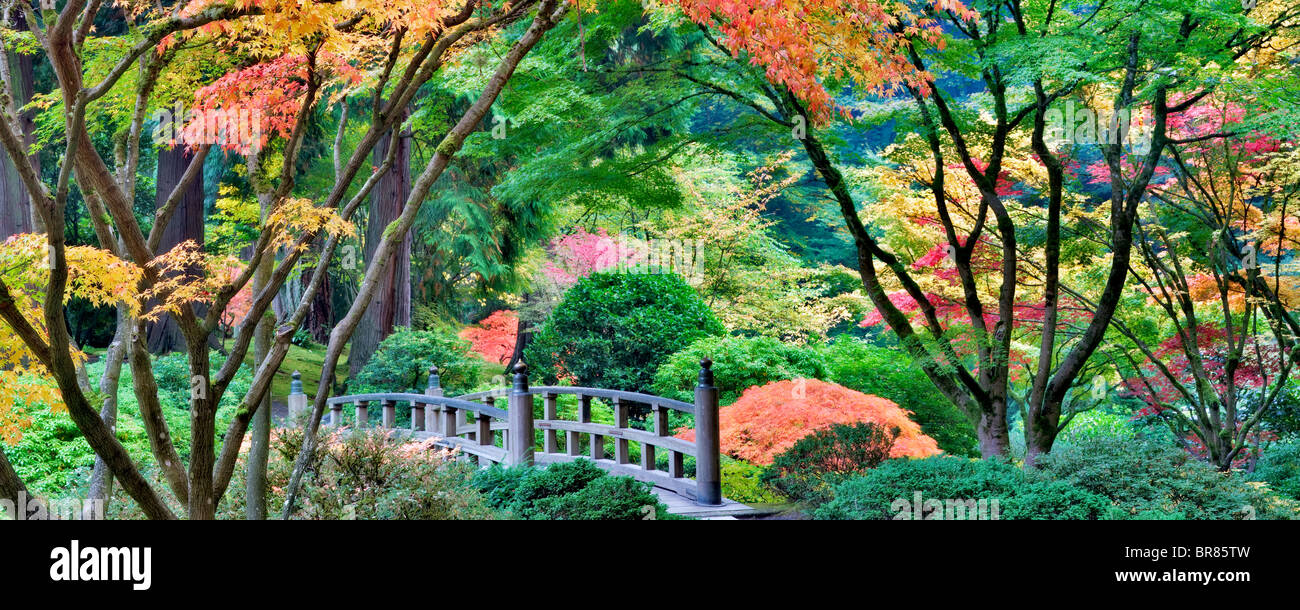Portland giardini Giapponesi con il ponte e i colori dell'autunno. Oregon Foto Stock