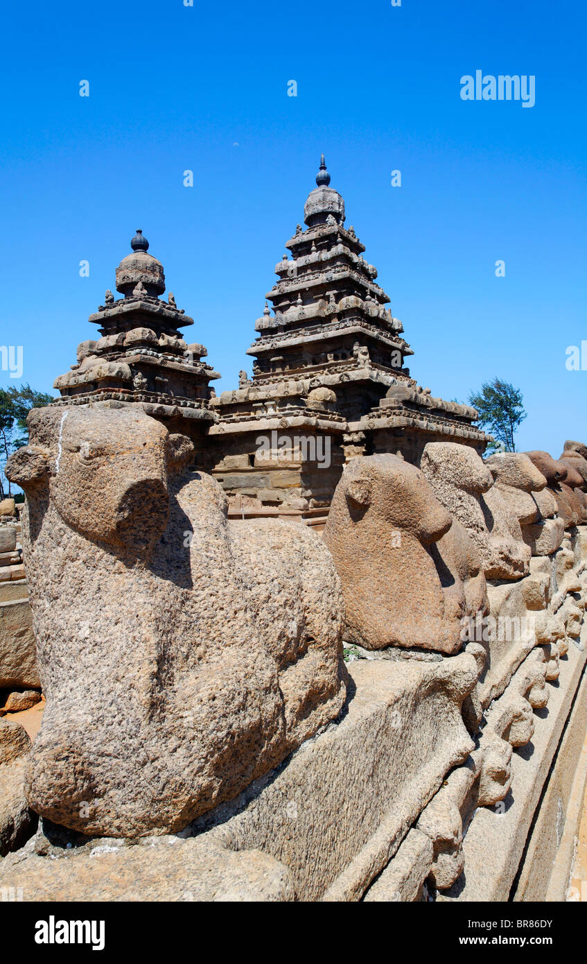 Il Tempio Shore, Mamallapuram, Tamil Nadu, India Foto Stock