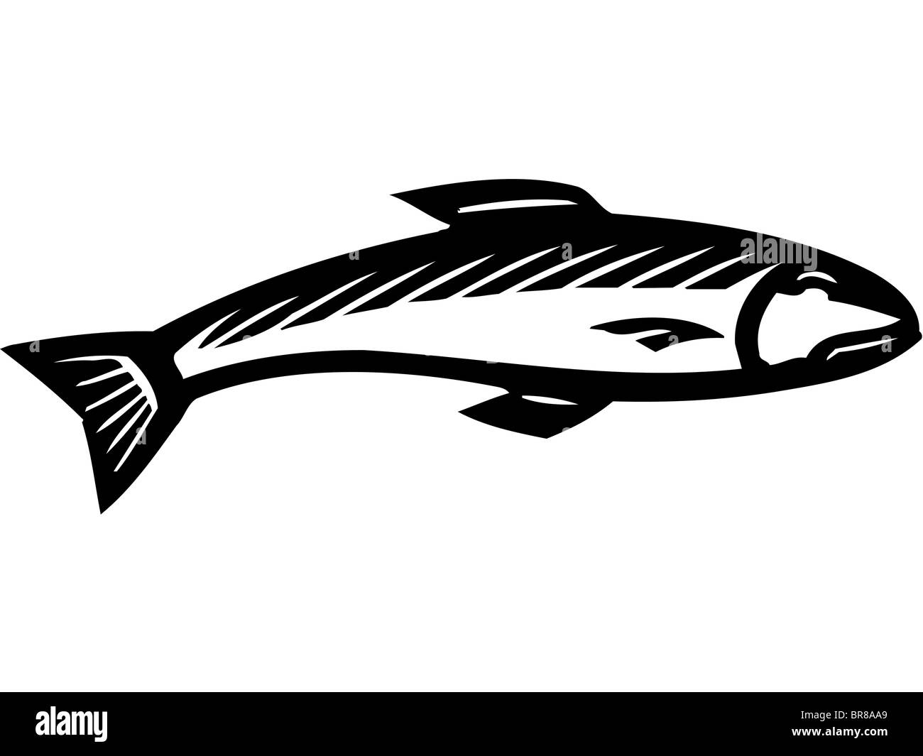 Un Bianco E Nero Il Disegno Di Un Pesce Foto Immagine